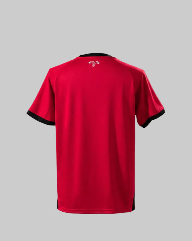 Camiseta de Visitante Jordan 2026