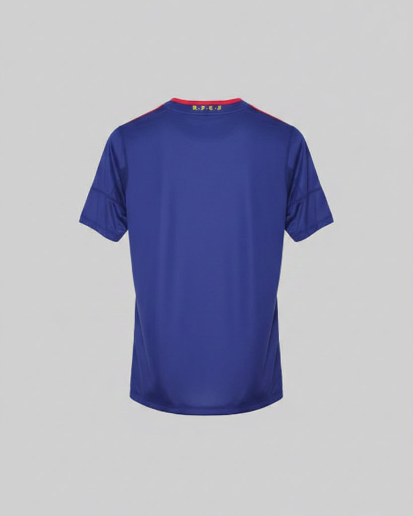 Camiseta de visitante de España 2010