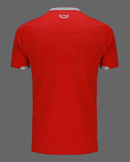 Camiseta local de Gales 2026